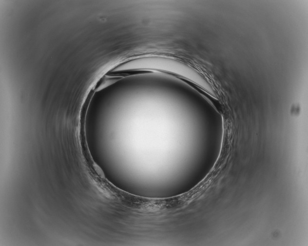 X0000099490148200805291114