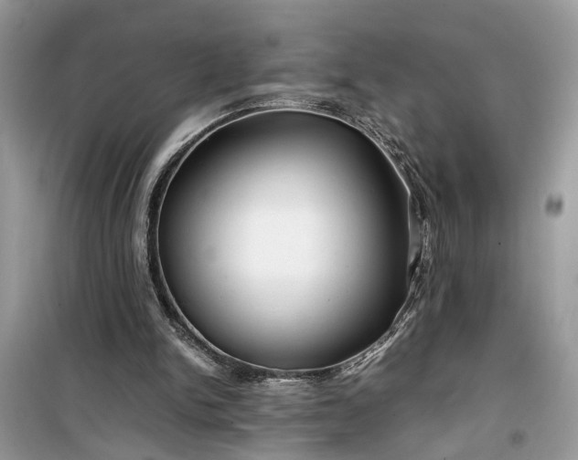 X0000099490150200805291114