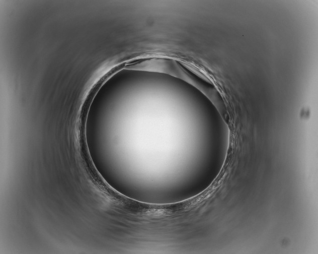 X0000099490152200805291114