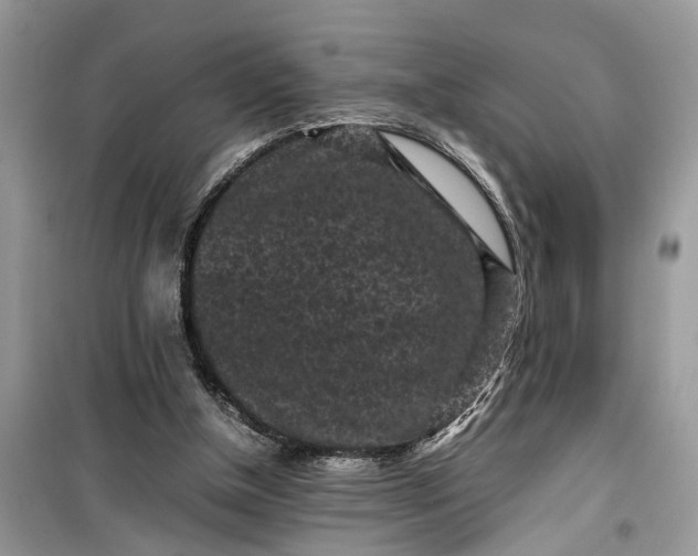 X0000099490154200805291114