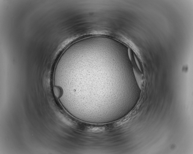 X0000099490155200805291114