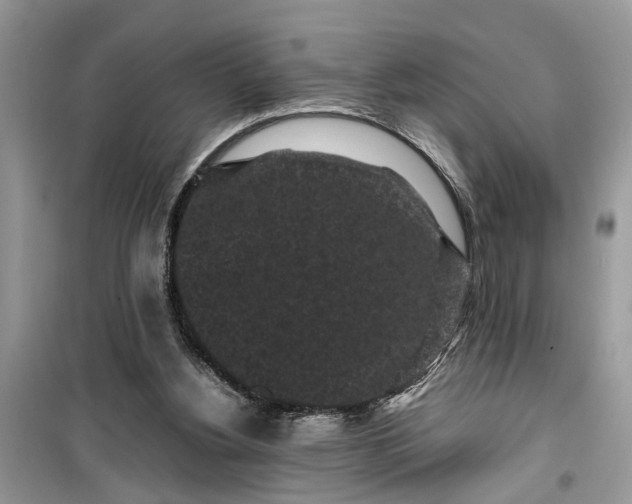 X0000099490156200805291114