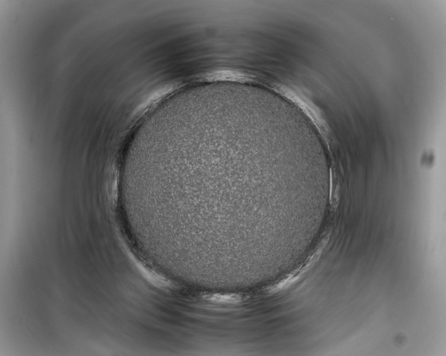 X0000099490157200805291114