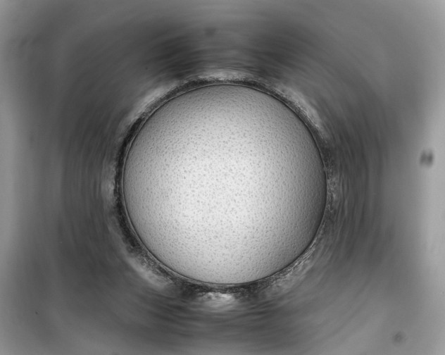 X0000099490159200805291114