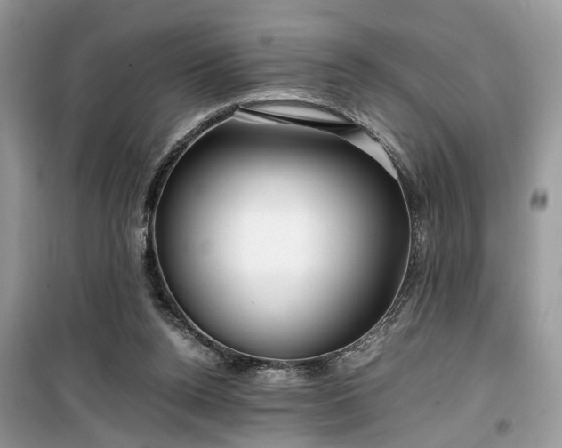 X0000099490160200805291114