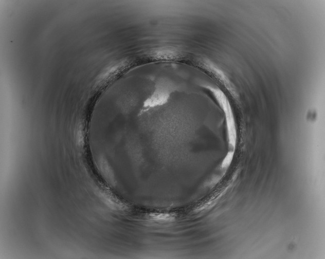 X0000099490161200805291114