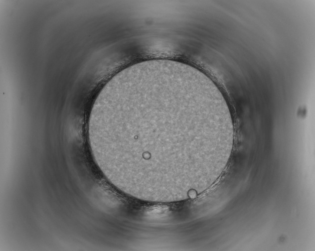 X0000099490162200805291114