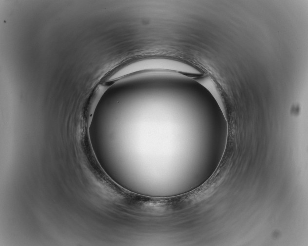 X0000099490164200805291114