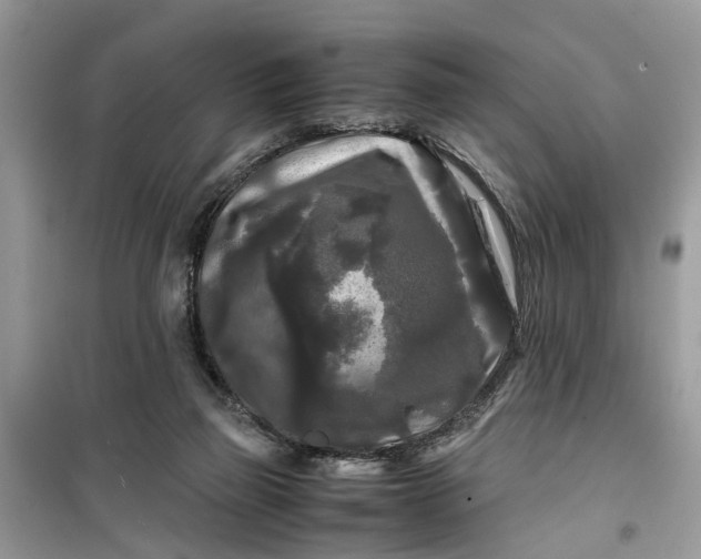 X0000099490165200805291114