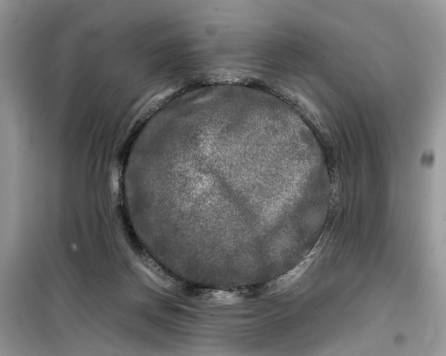 X0000099490166200805291114