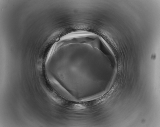 X0000099490167200805291114