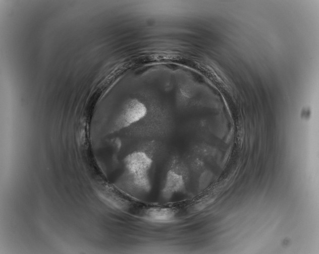 X0000099490169200805291114