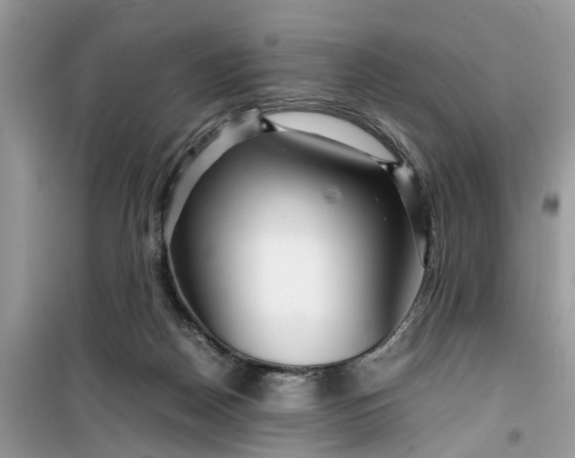 X0000099490170200805291114