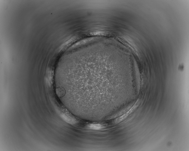 X0000099490171200805291114