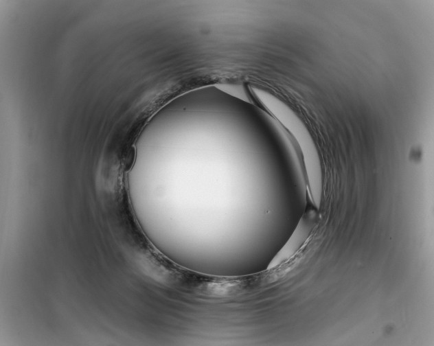 X0000099490172200805291114