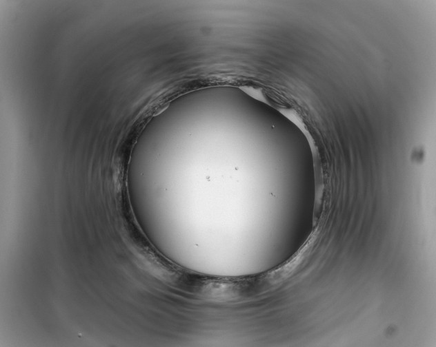 X0000099490174200805291114