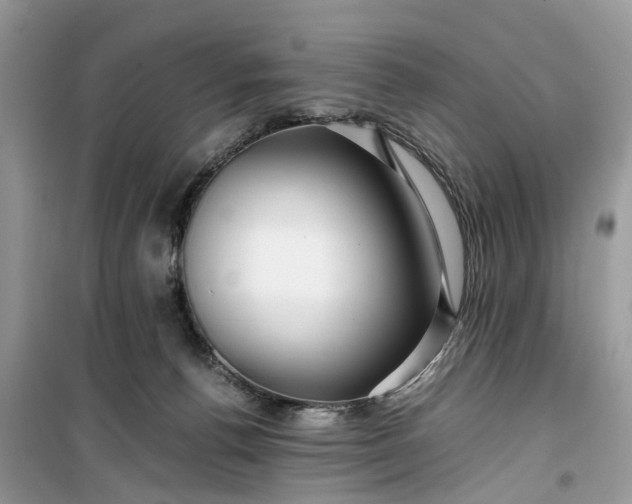 X0000099490176200805291114