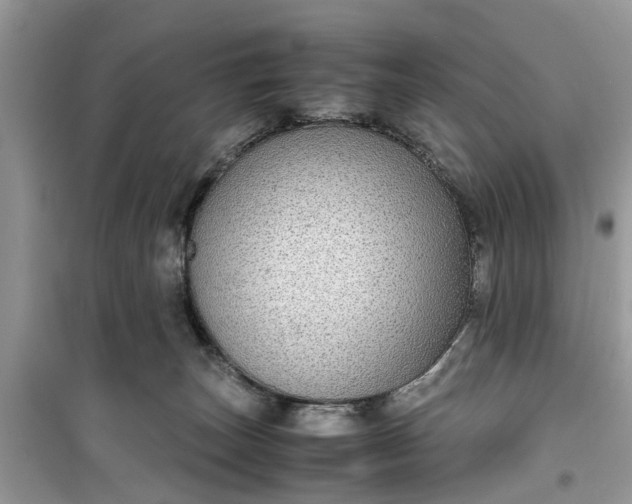 X0000099490179200805291114