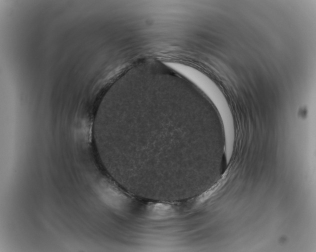 X0000099490180200805291114