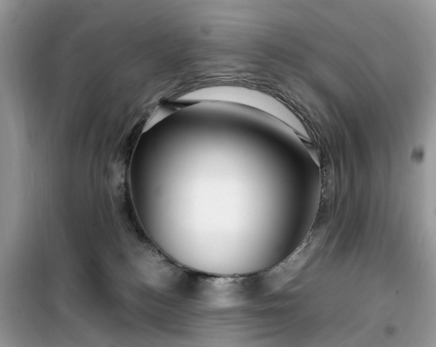 X0000099490184200805291114