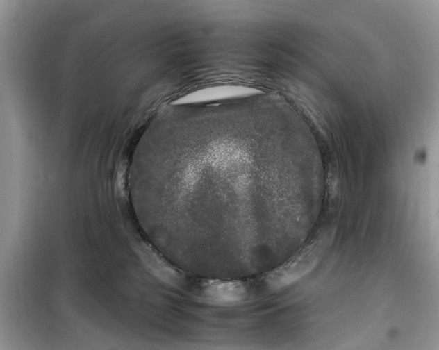 X0000099490185200805291114