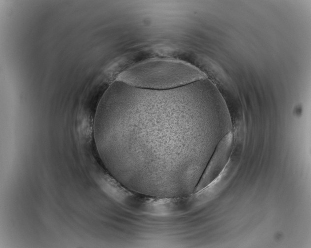 X0000099490186200805291114