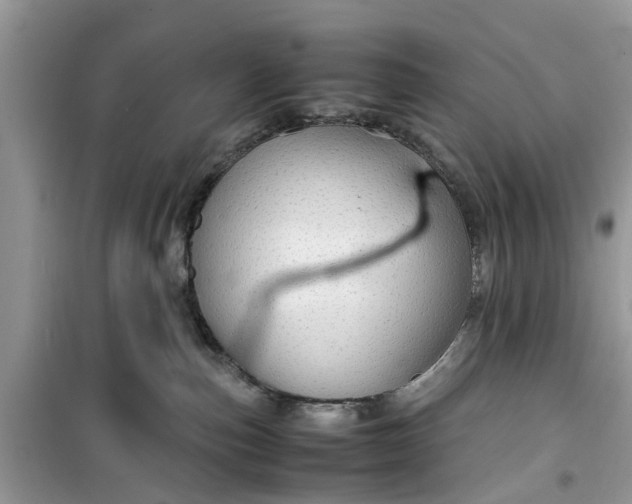 X0000099490187200805291114