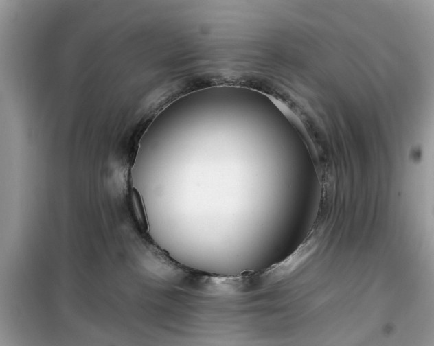 X0000099490188200805291114