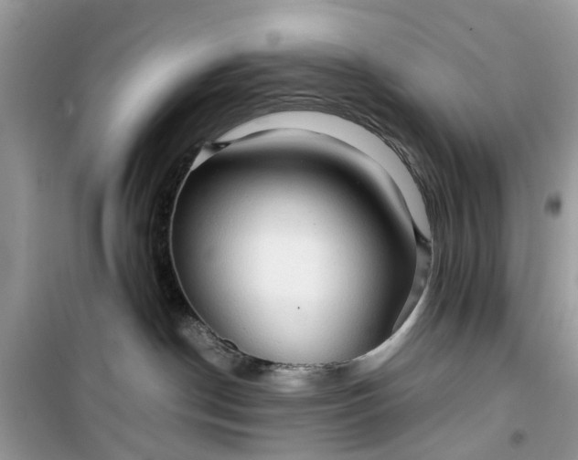 X0000099490190200805291114