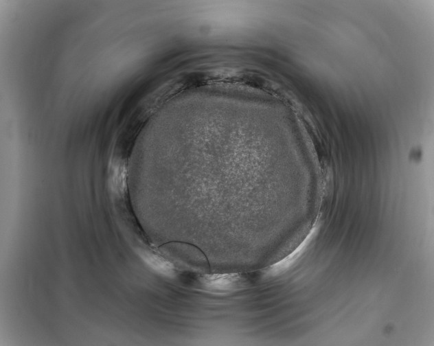 X0000099490191200805291114