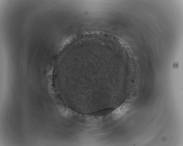 X0000099490192200805291114