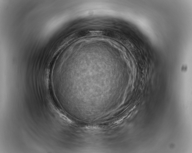 X0000099490194200805291114