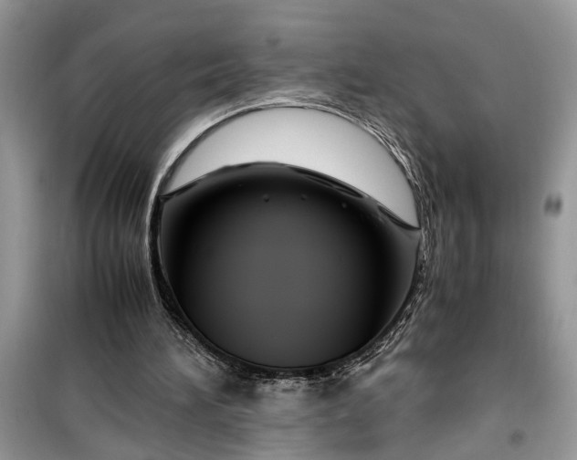 X0000099490196200805291114