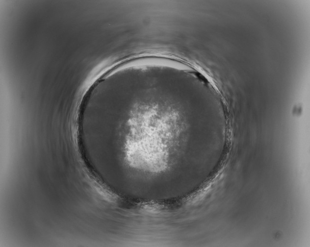 X0000099490199200805291114