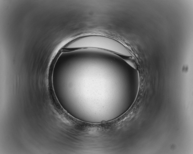 X0000099490200200805291114