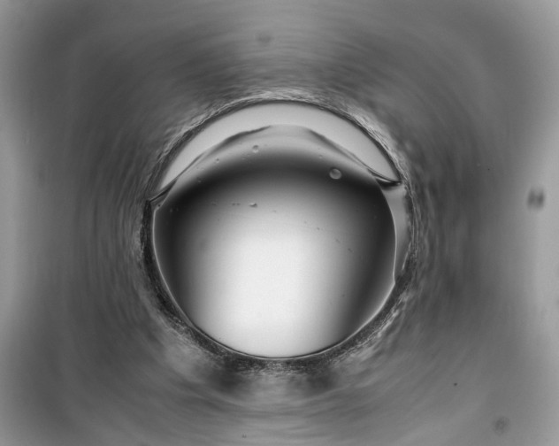 X0000099490201200805291114