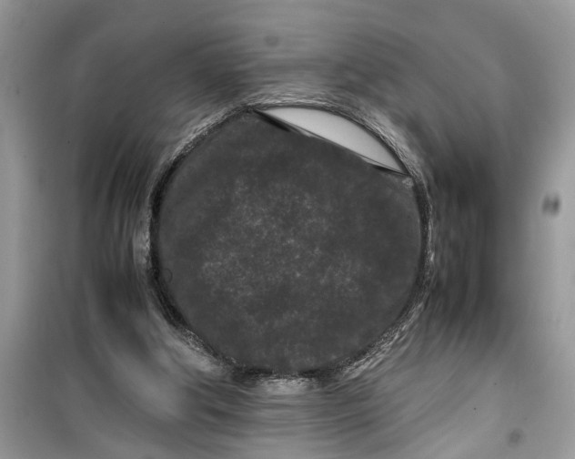 X0000099490202200805291114