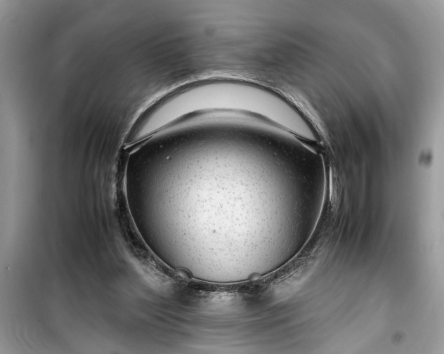 X0000099490204200805291114