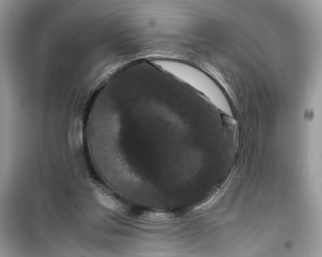 X0000099490205200805291114