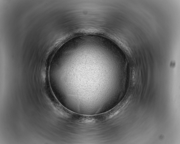 X0000099490206200805291114