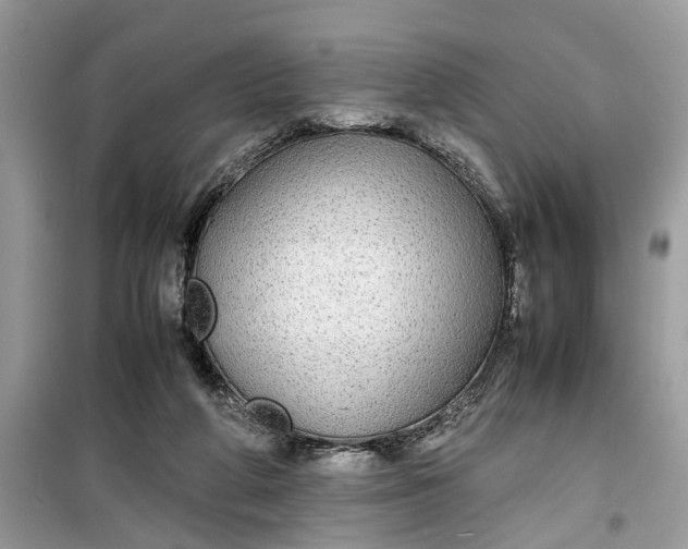 X0000099490210200805291113