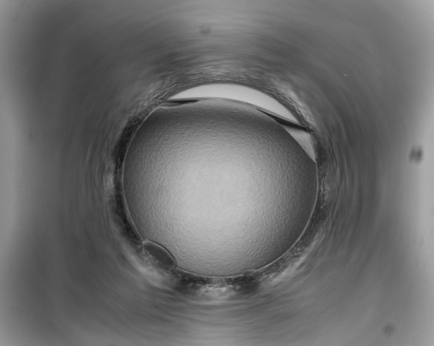 X0000099490213200805291113