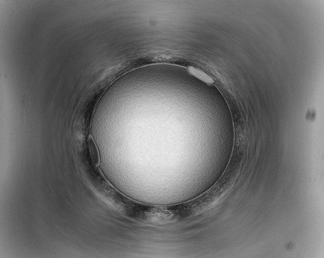 X0000099490215200805291113