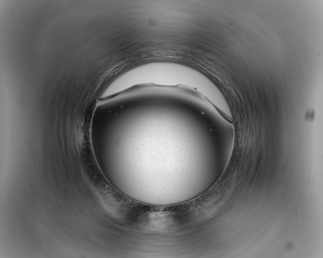 X0000099490216200805291113