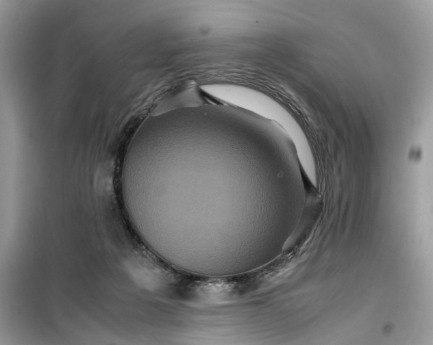 X0000099490217200805291113