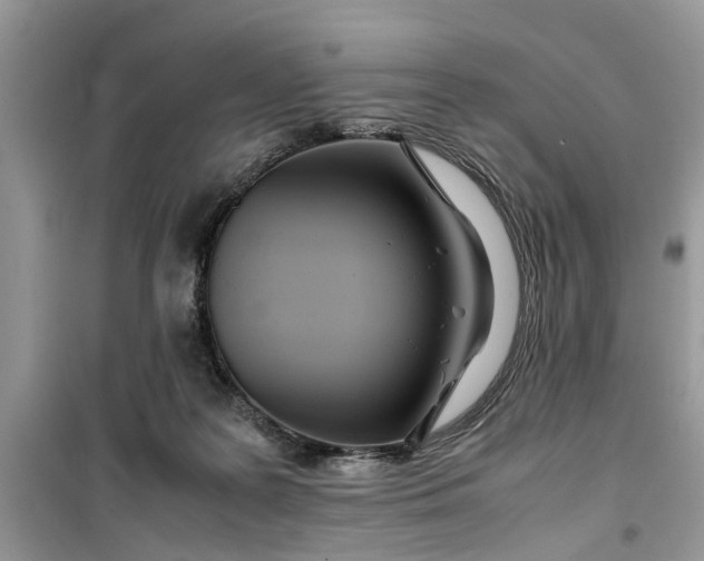 X0000099490219200805291113