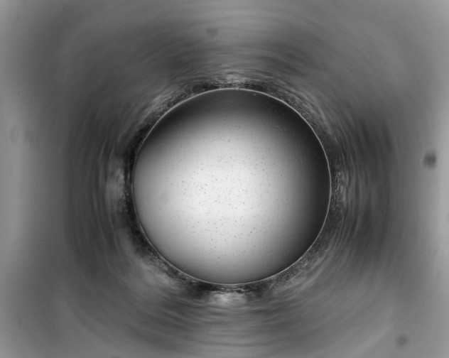 X0000099490220200805291113