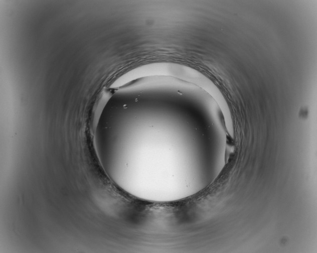 X0000099490221200805291113