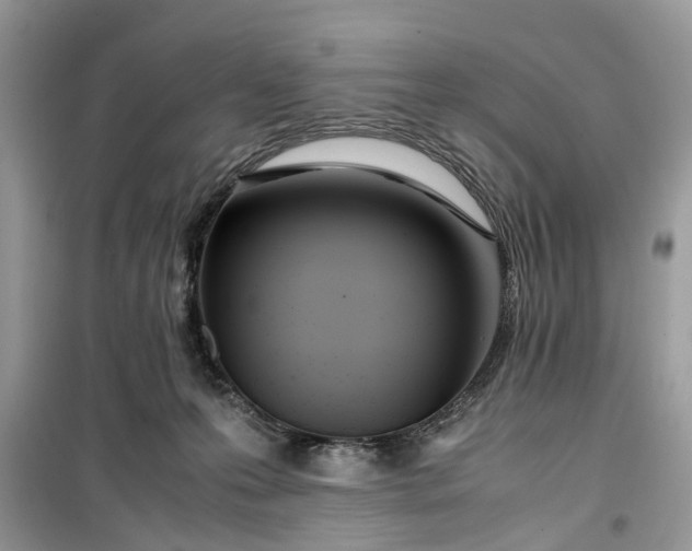 X0000099490223200805291113