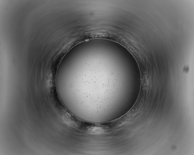 X0000099490224200805291113